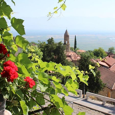 Tsitso & Soso Guesthouse Tsnori Bagian luar foto
