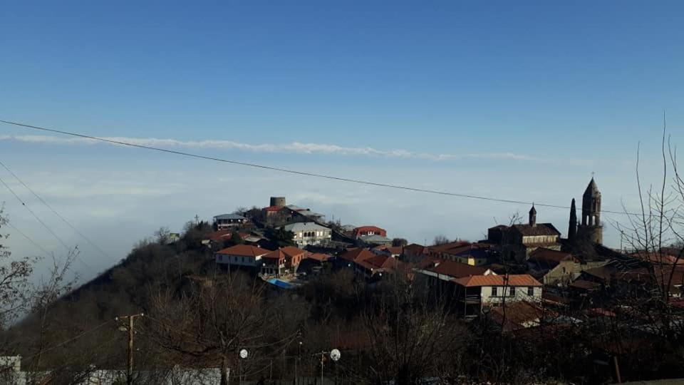 Tsitso & Soso Guesthouse Tsnori Bagian luar foto