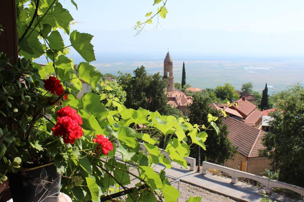 Tsitso & Soso Guesthouse Tsnori Bagian luar foto